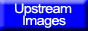 Upstream Images-Sportsman Decals