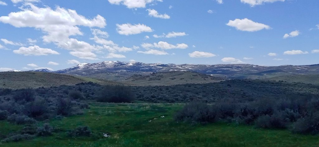 04242614431.jpg