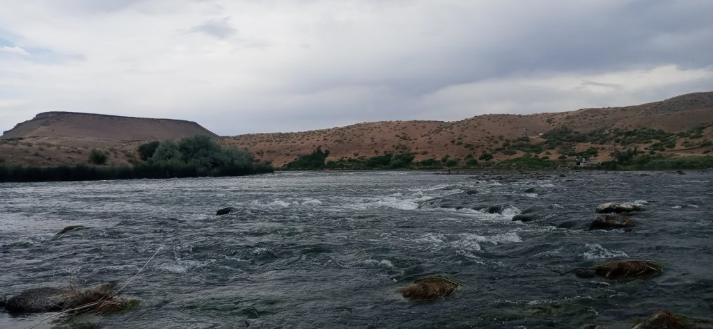 0619261842.jpg