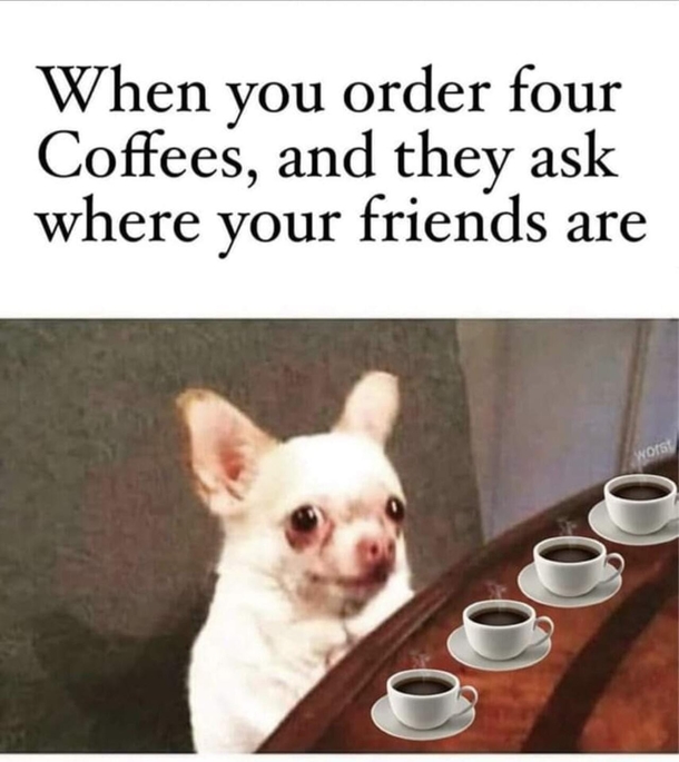 10-Funny-Memes-About-Coffee-That-Will-Give-You-Joy-66319-3-4105484533.jpeg