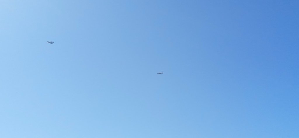 1000005455.jpg