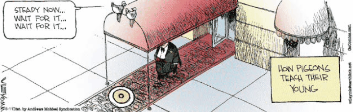1000005609.gif