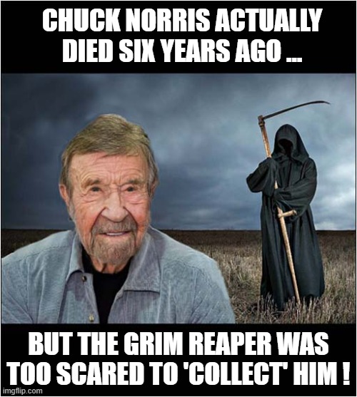 1000005779.jpg