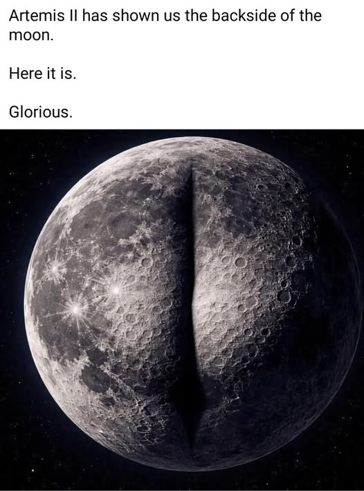 1775676705186.png