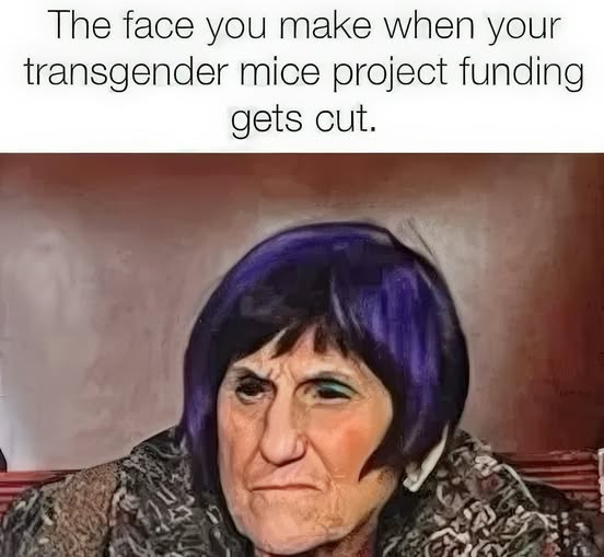 1777237470447.png