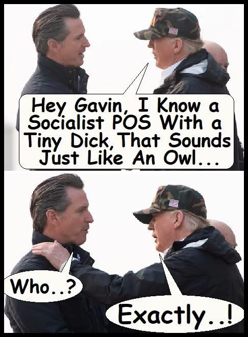 1778037732723.png