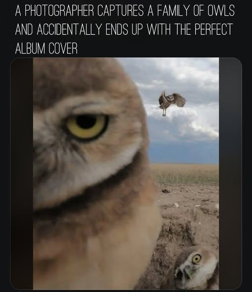1778161113704.png