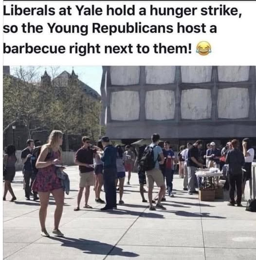 1778368261621.png