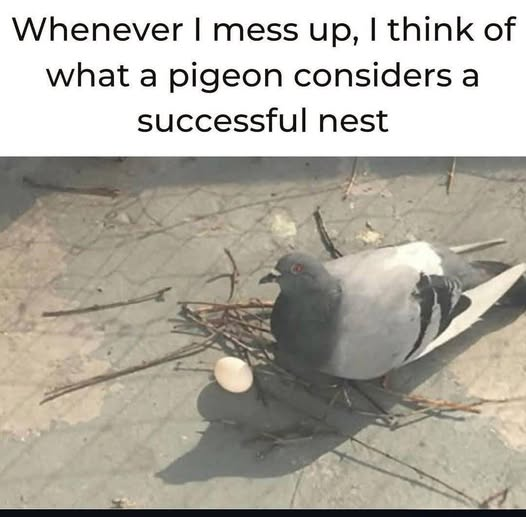 1778416070628.png