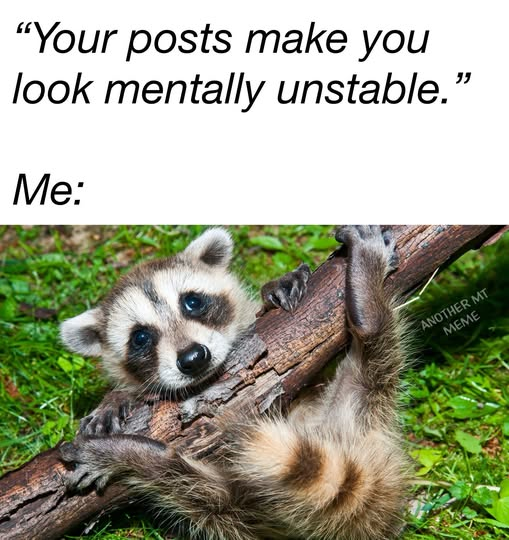 1778676722850.png