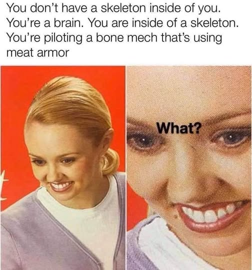 1779407604162.png