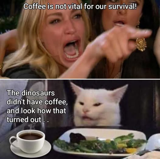 1779812681862.png