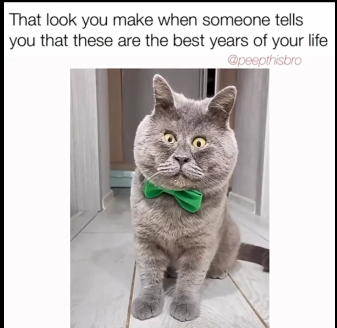1779816795649.png