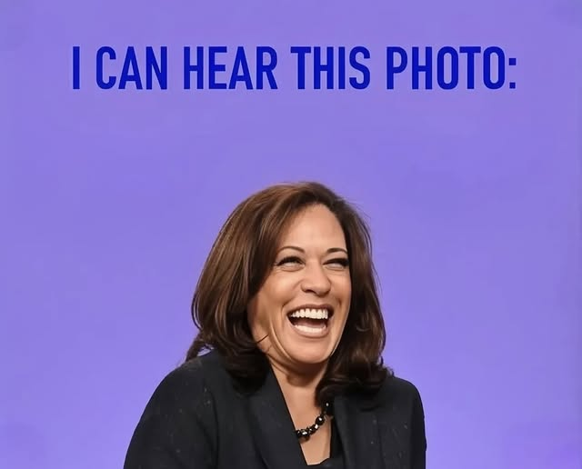 1780004235838.png