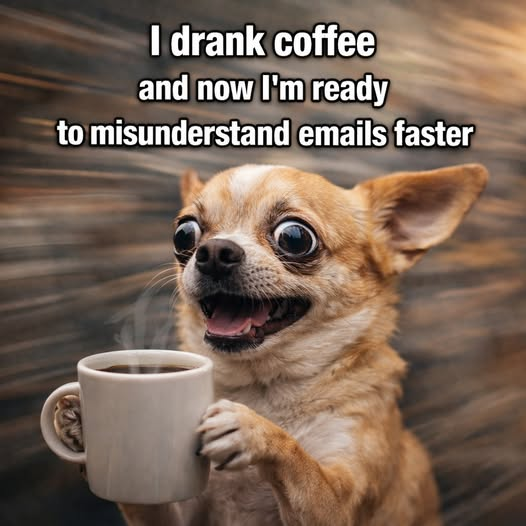 1780067635133.png