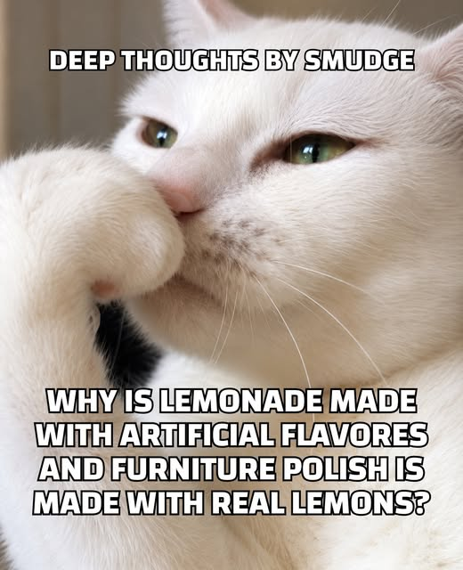 1780103548618.png