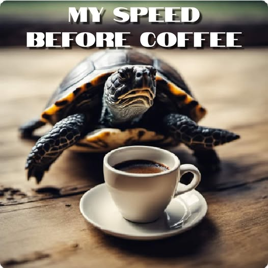 1780151385908.png