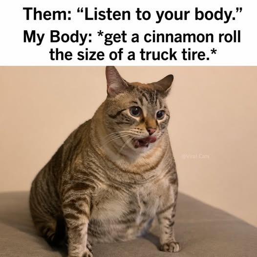 1780193741136.png