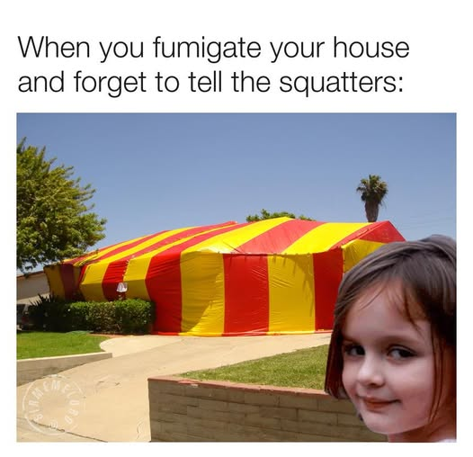 1780405529375.png