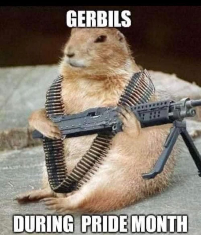 1780405982826.png