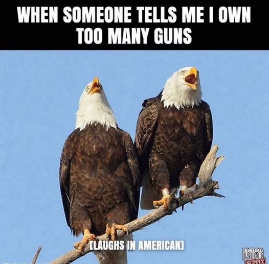 1780766402784.png