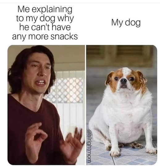 1780870186200.png