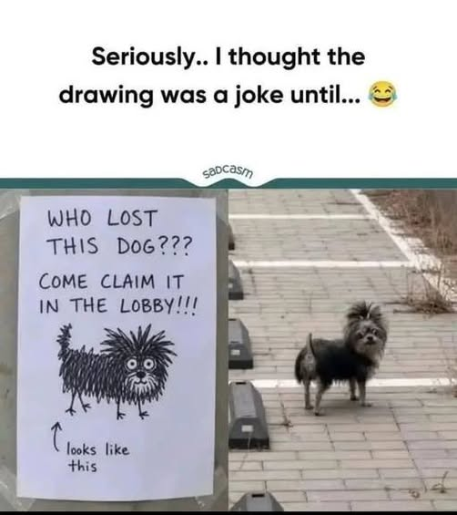 1781462242118.png