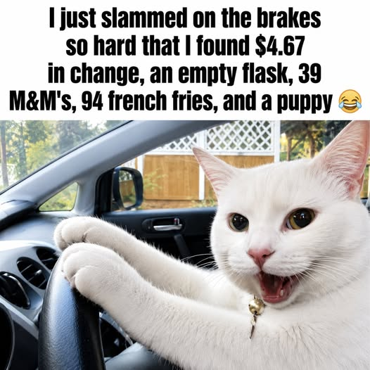 1781528382067.png
