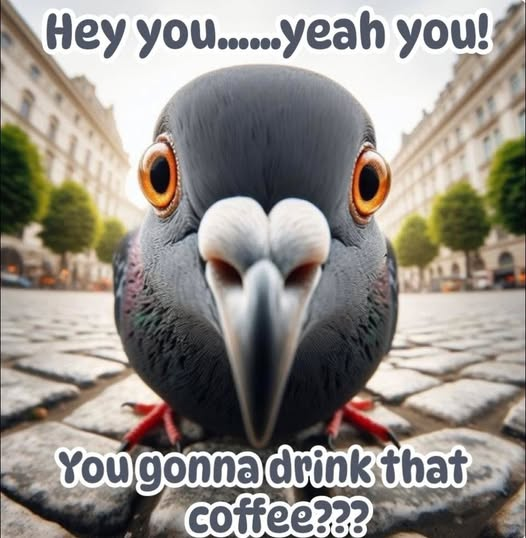 1781561580827.png