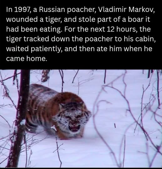 1782410226625.png