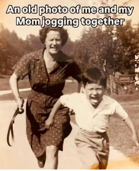 1782838526929.png