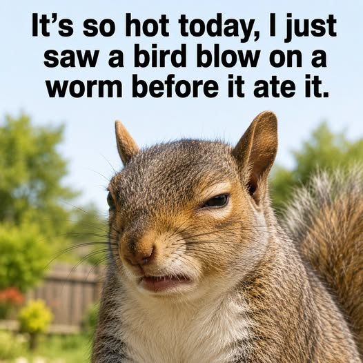 1782910398991.png