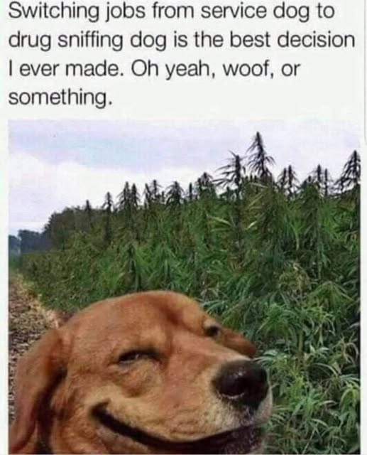 1783351189342.png