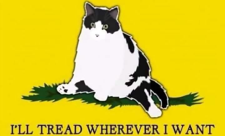 1783527032533.png