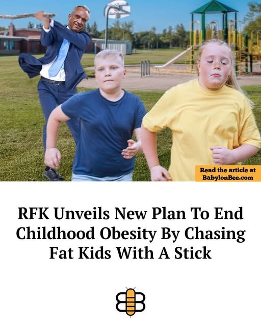 1783808908102.jpeg
