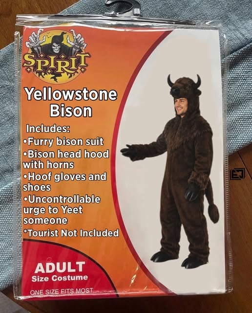 1784288249871.jpeg