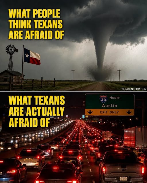 1785108362785.png
