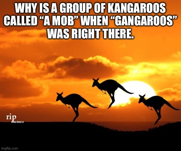 1786559685994.png