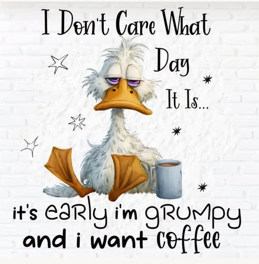 1786577198453.png