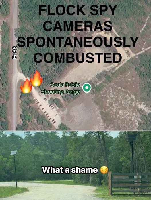 1787664570574.png