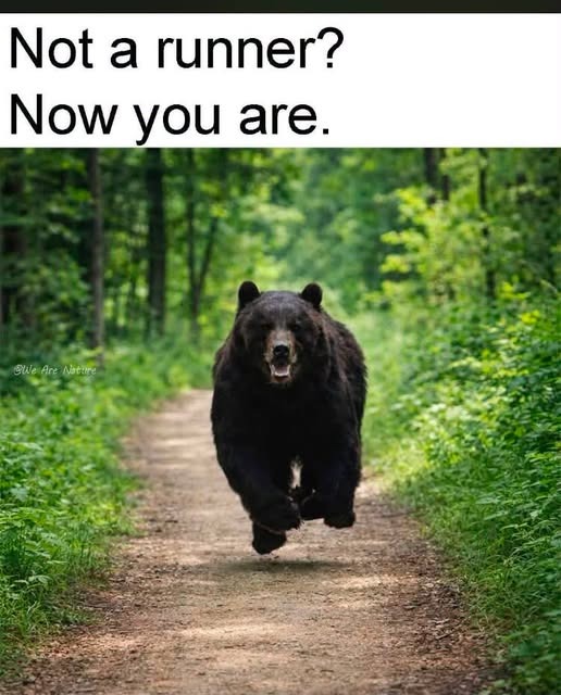 1788393322767.jpeg