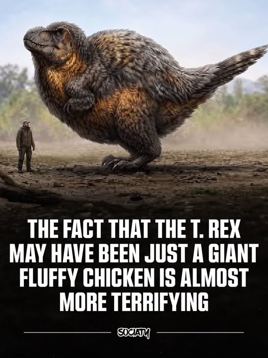 1788990945826.png