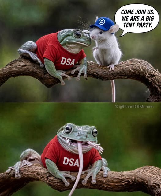 1789763811263.png