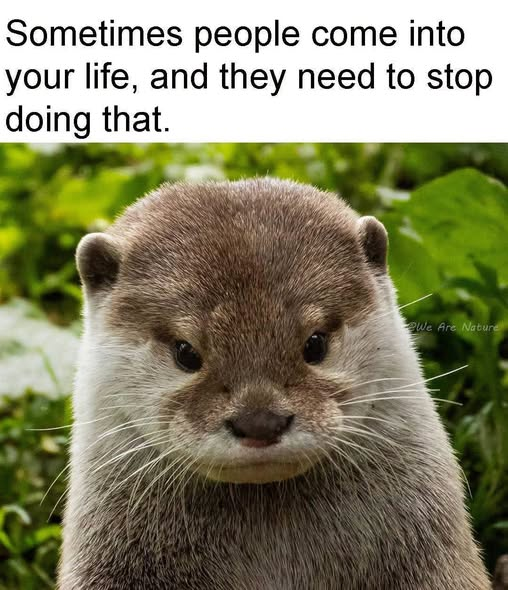 1789779342981.png