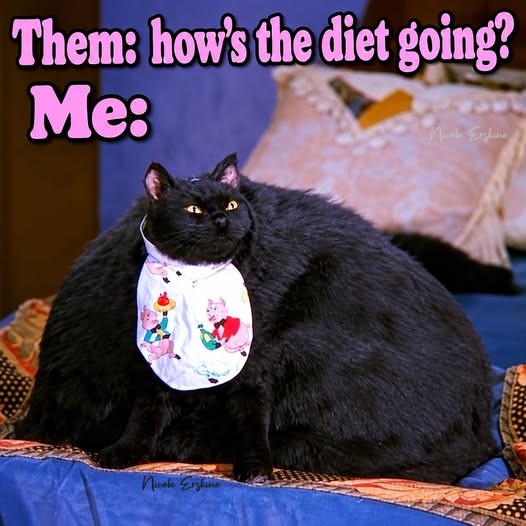 1790267476077.png