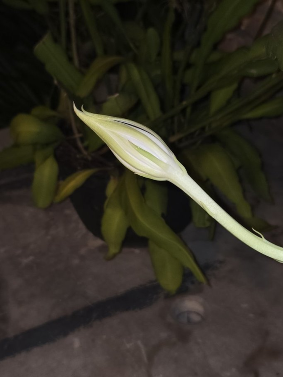 1790389592398.png