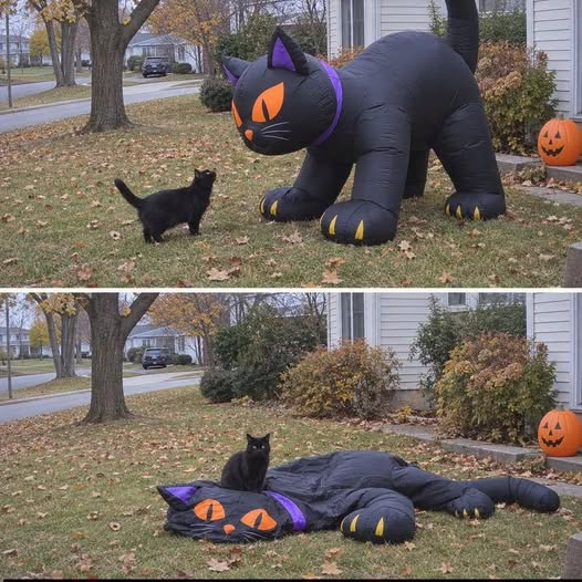 1791215833917.png