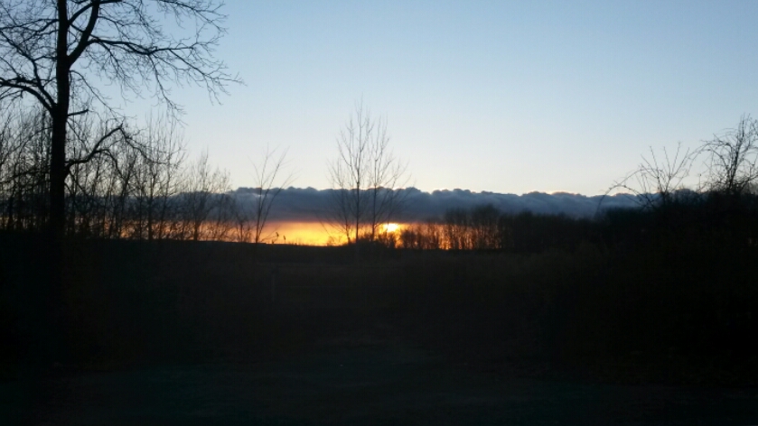 2016-01-14 19.58.21.jpeg