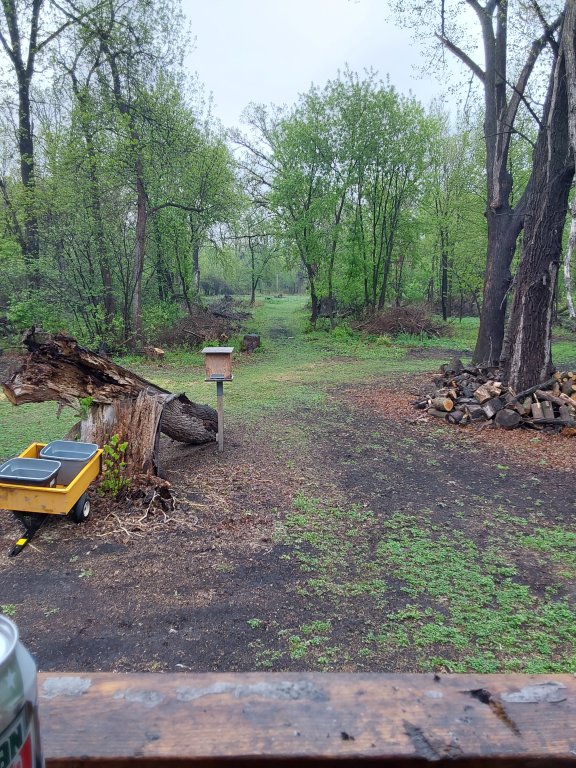 20260523_073734.jpg