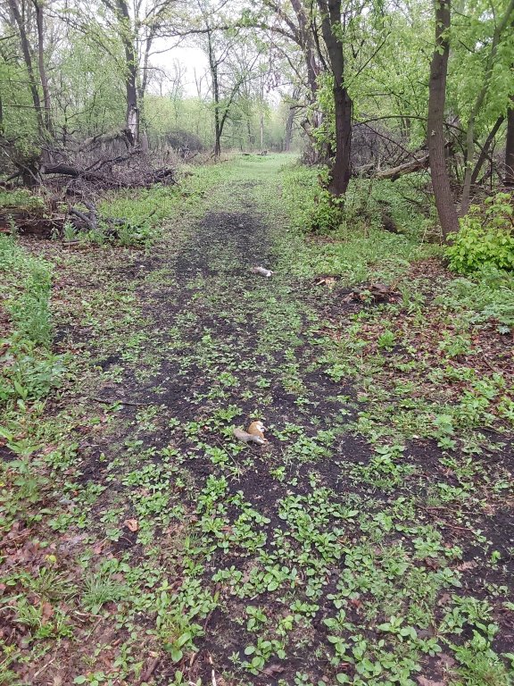 20260523_080432.jpg
